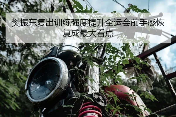 樊振东复出训练强度提升全运会前手感恢复成最大看点